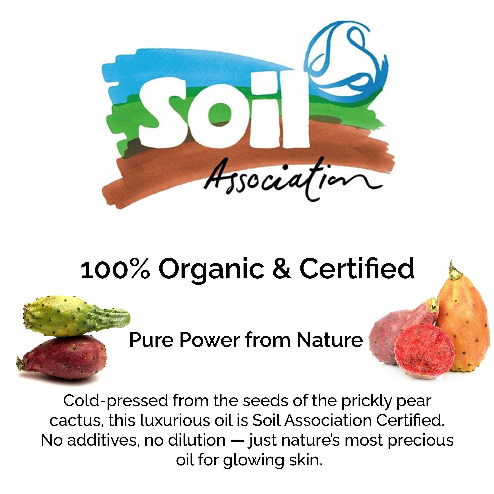Organic Prickly Pear Seed Oil (Opuntia stricta) – Pure, Cold-Pressed – Anti-Aging & Nourishing Facial Oil