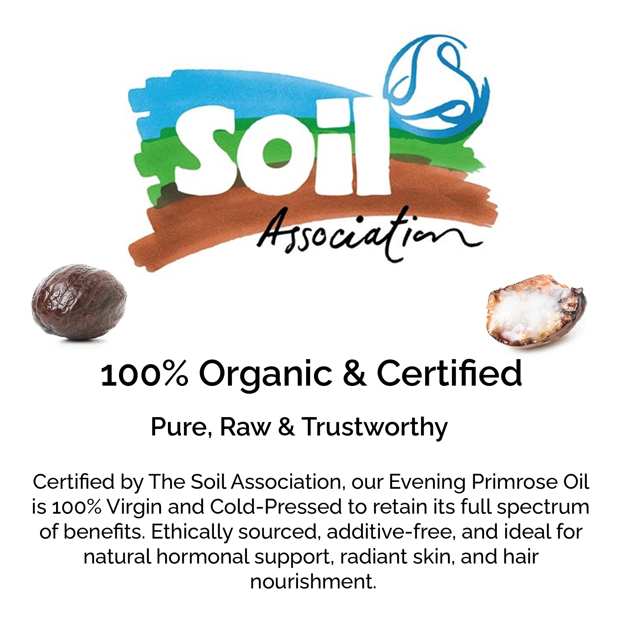 Raw Shea Butter – 100% Pure Organic, Hair & Skin