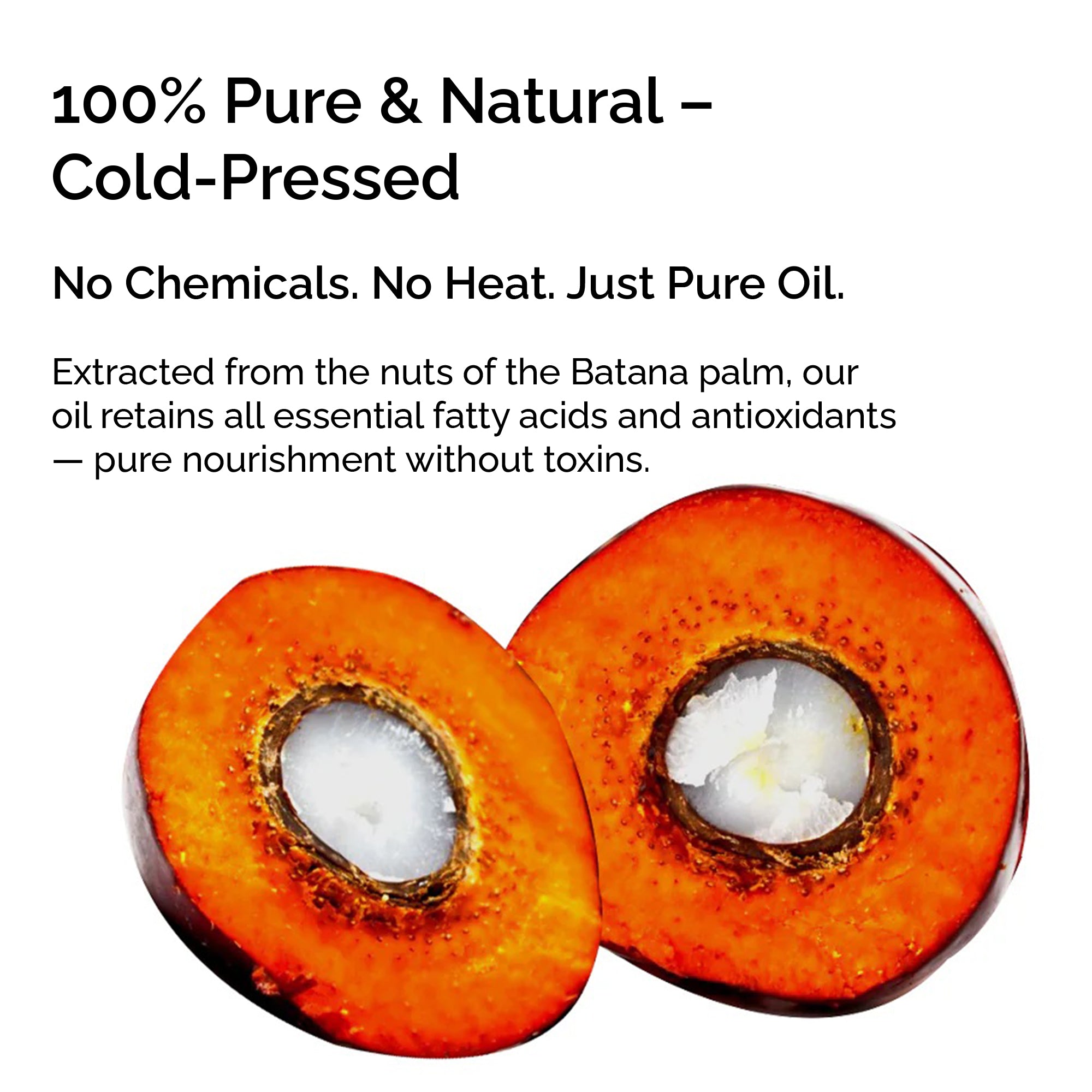 Fractionated Batana Oil from Honduras – Hair Growth & Glow Face Oil