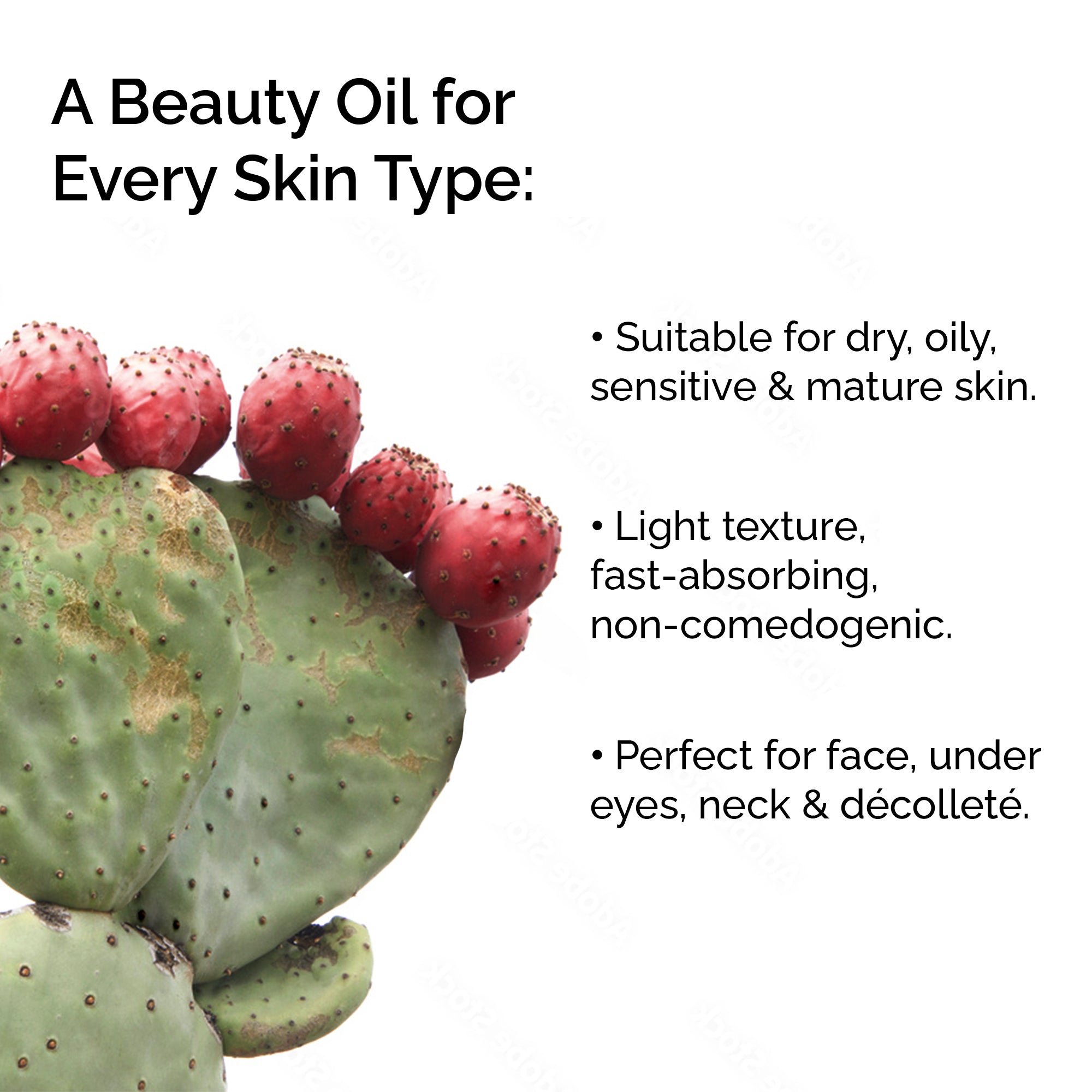 Organic Prickly Pear Seed Oil (Opuntia stricta) – Pure, Cold-Pressed – Anti-Aging & Nourishing Facial Oil