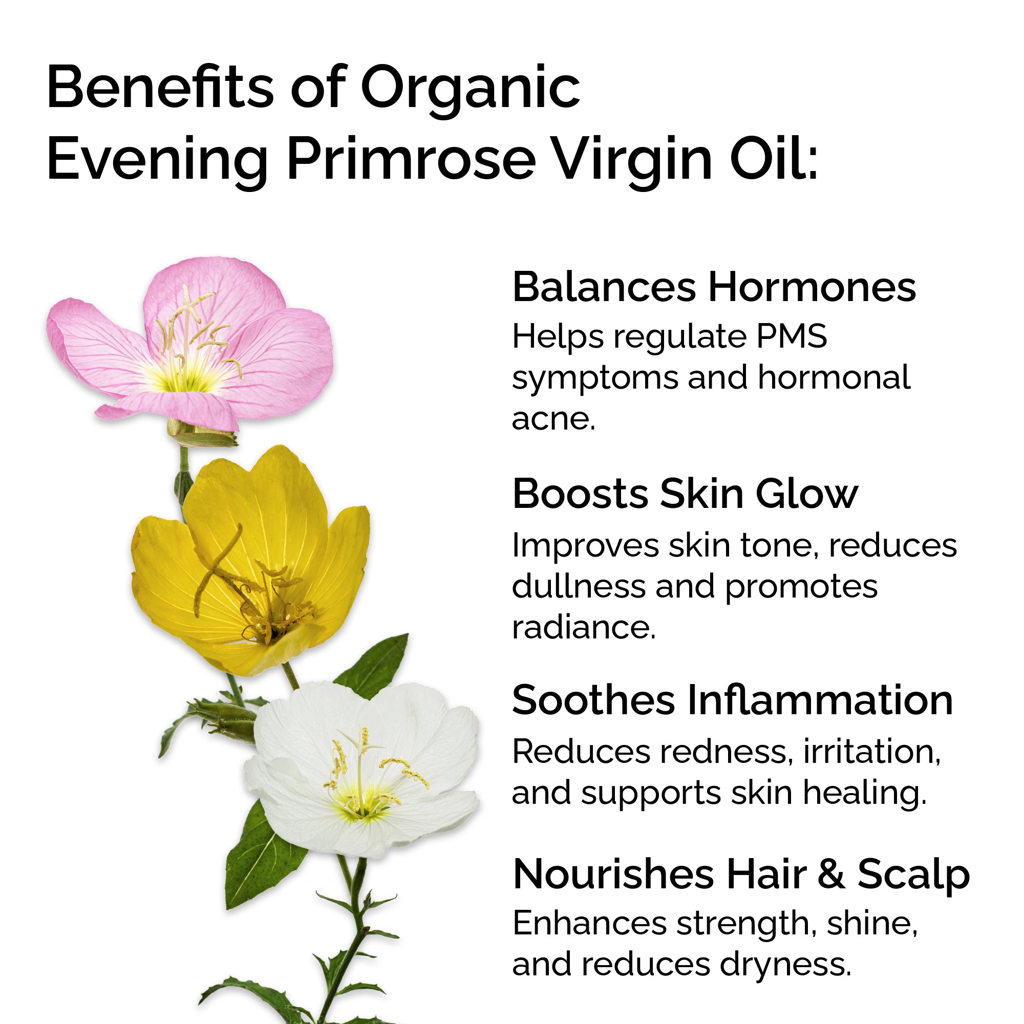 Organic Evening Primrose Oil – 100% Pure & Cold-Pressed for Face, Body & Hair