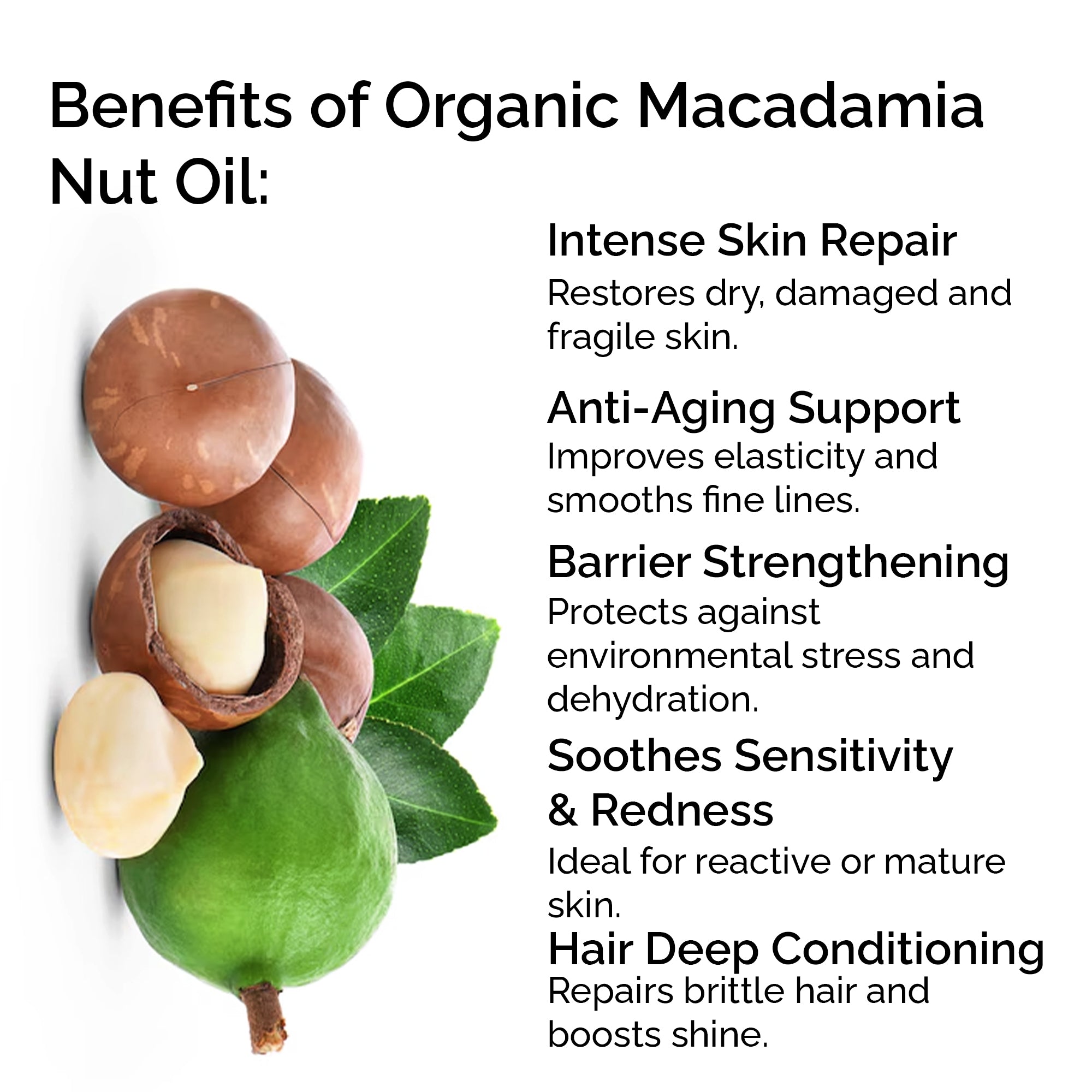 Organic Macadamia Oil – Pure & Cold-Pressed for Face, Body & Hair