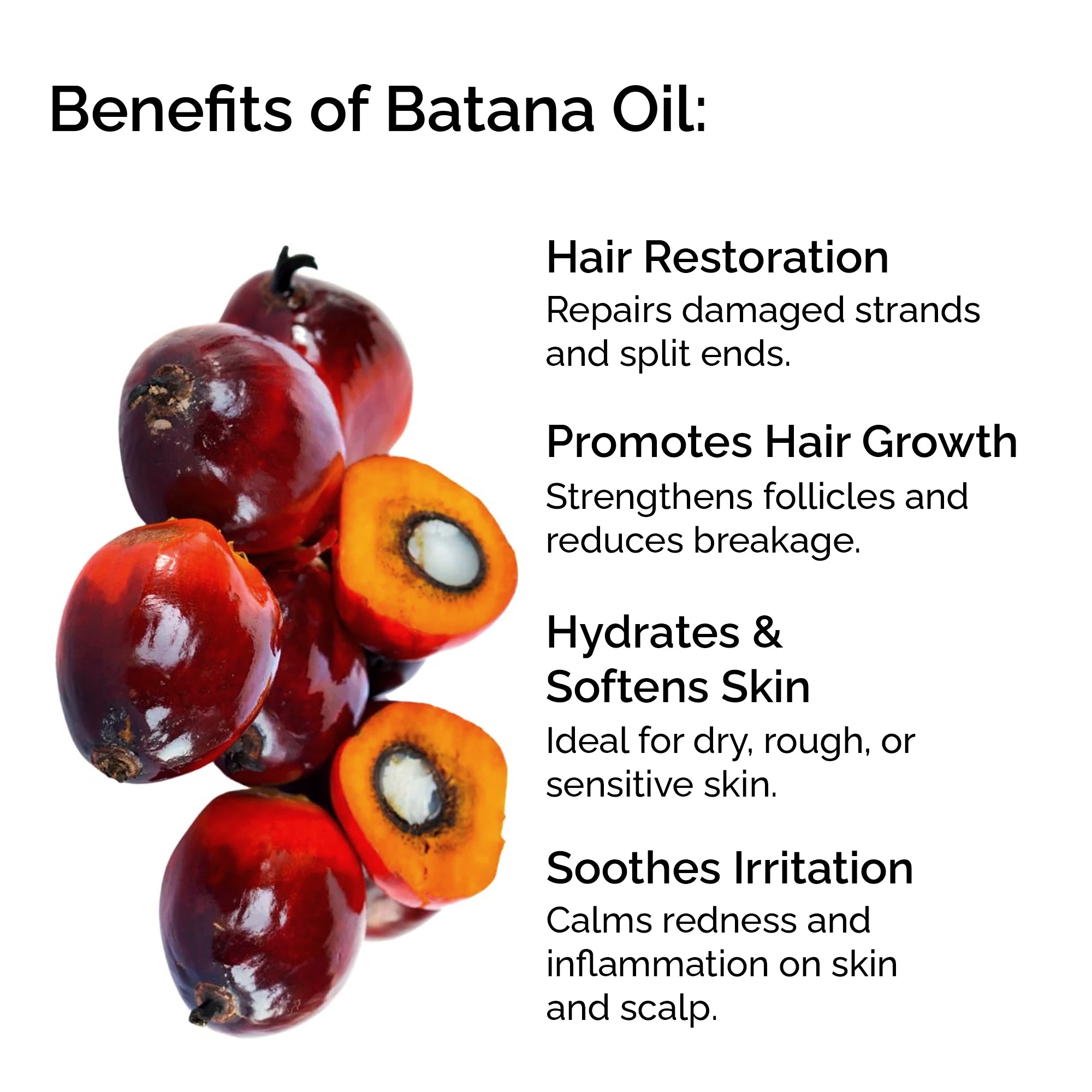 Fractionated Batana Oil from Honduras – Hair Growth & Glow Face Oil