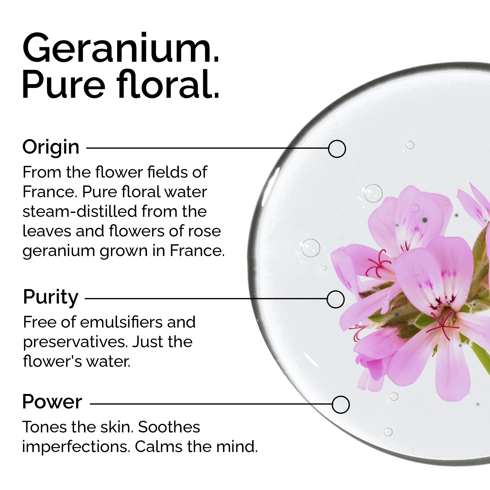 Geranium Hydrosol – Pure Floral Water for Skin & Hair