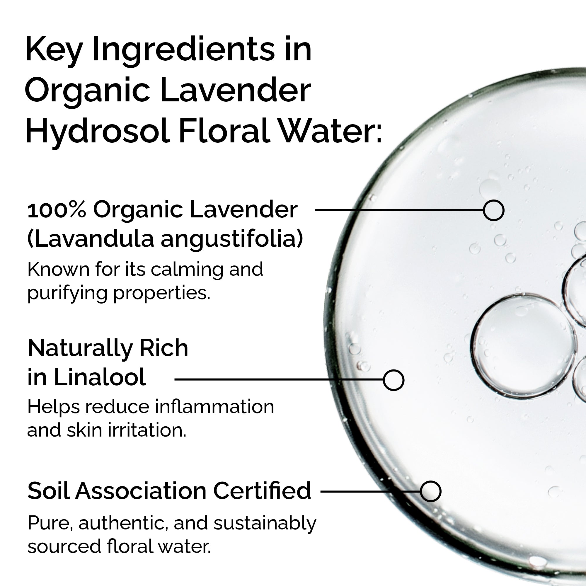 Organic Lavender Hydrosol – Soothing Floral Water for Skin & Hair