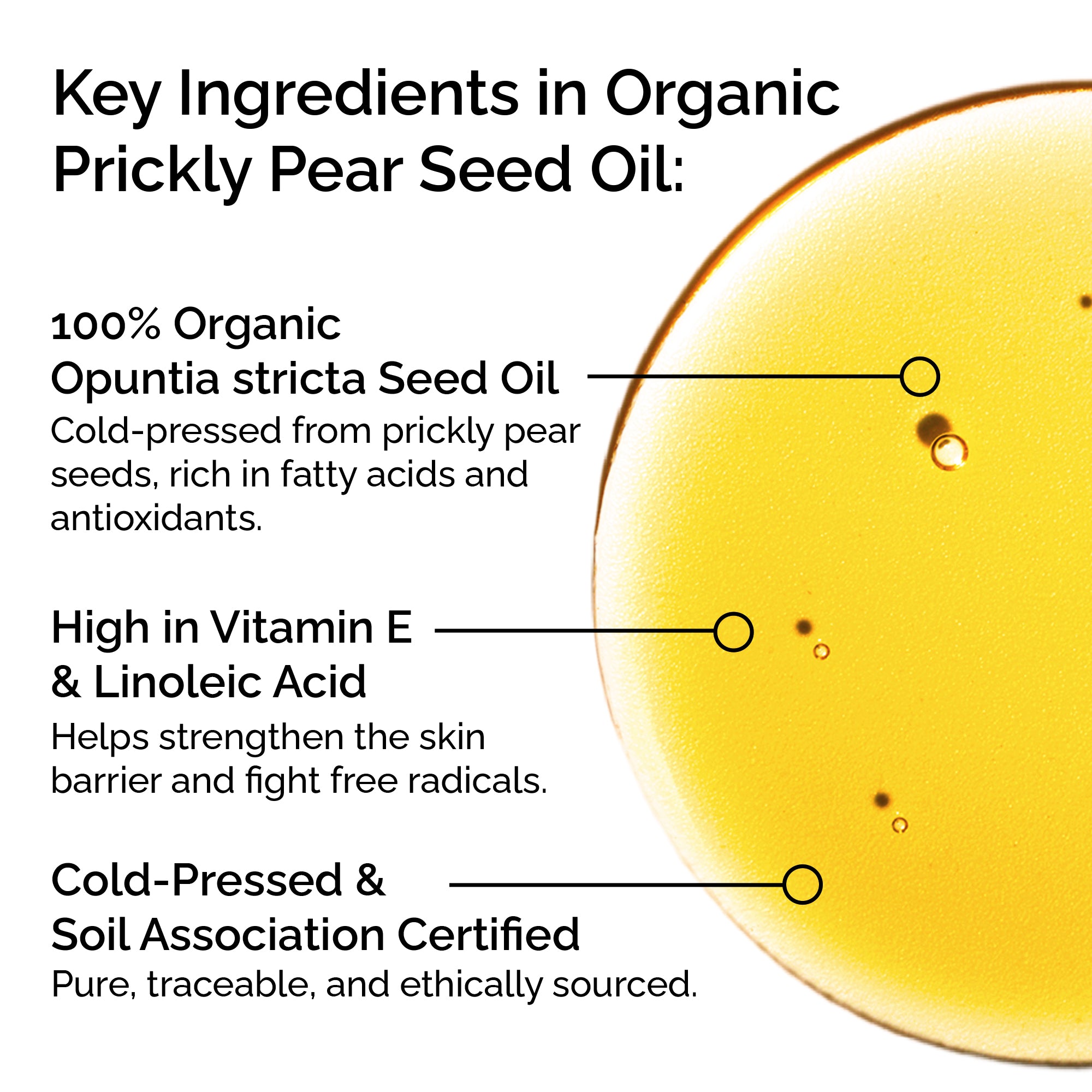 Organic Prickly Pear Seed Oil (Opuntia stricta) – Pure, Cold-Pressed – Anti-Aging & Nourishing Facial Oil