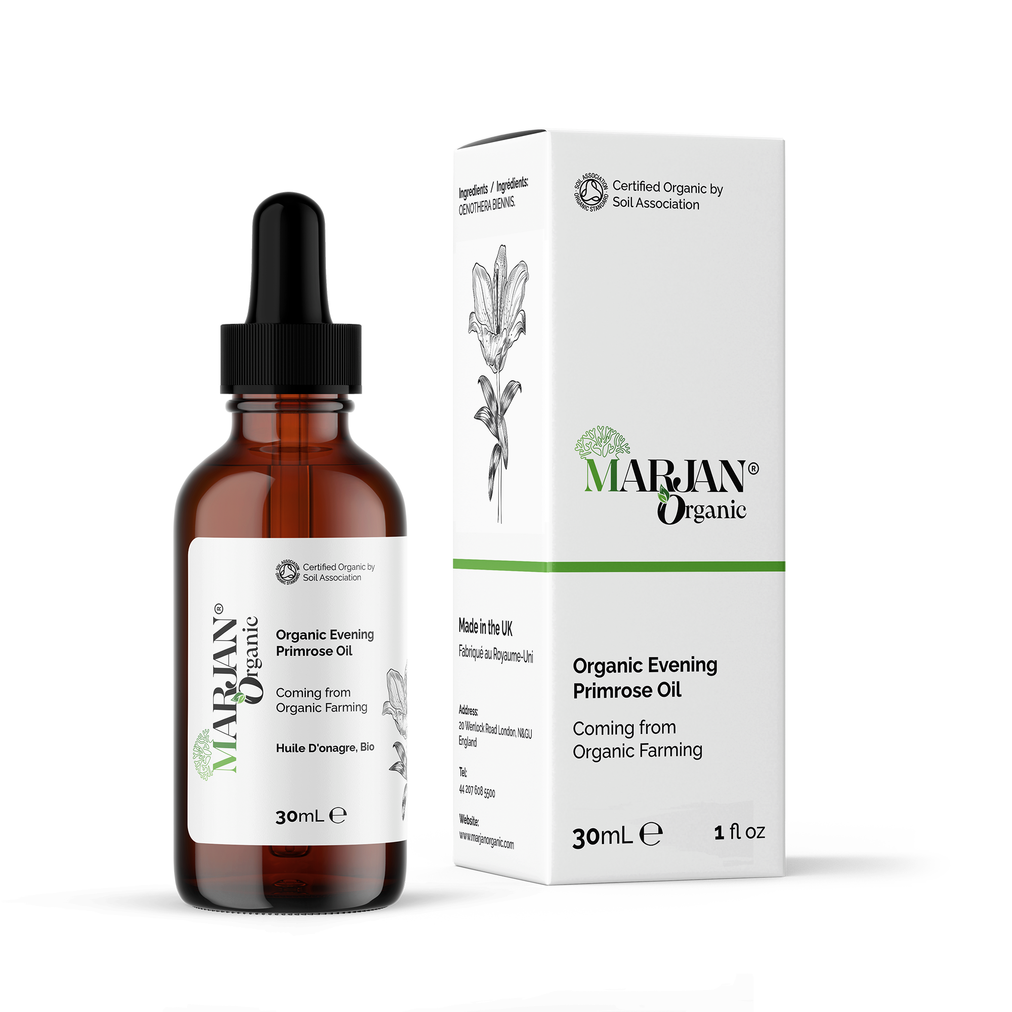 Secret Elixir Night Oil Set – Overnight Repair & Glow Ritual