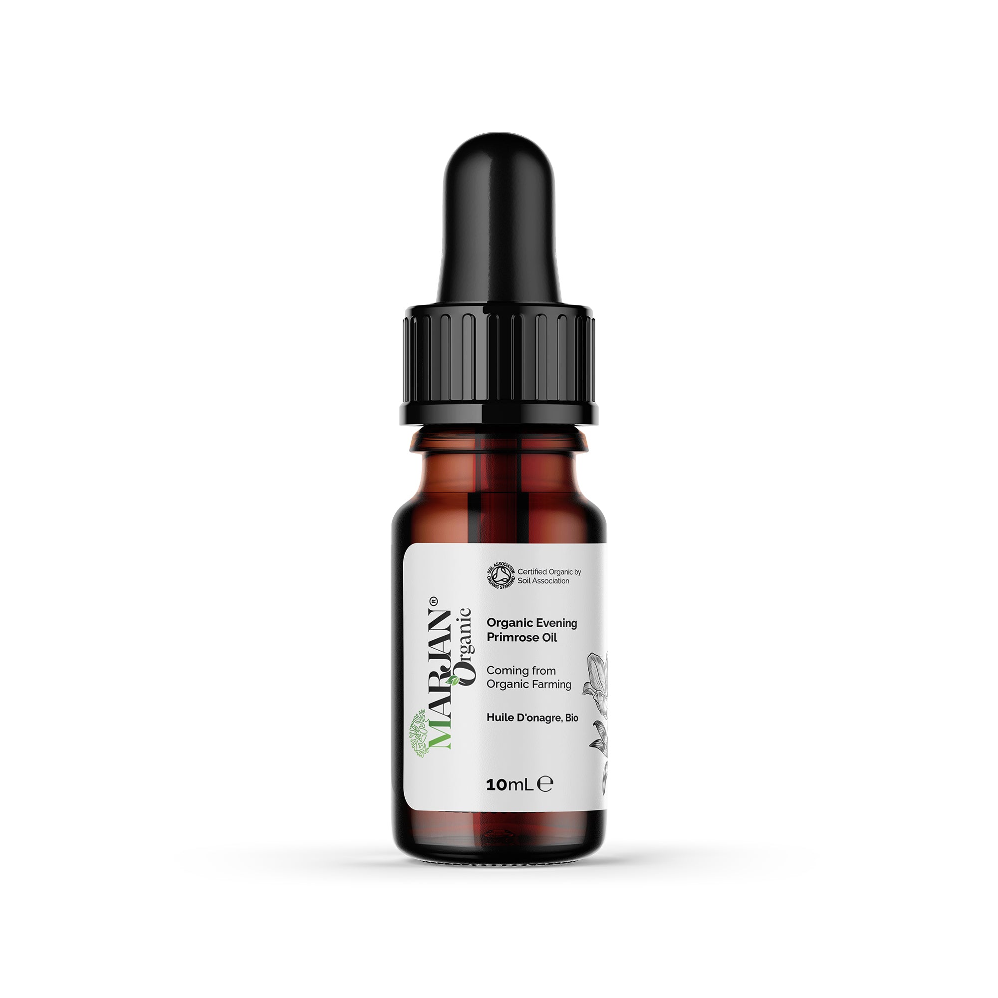 Evening Primrose Oil – Organic, Cold-Pressed
