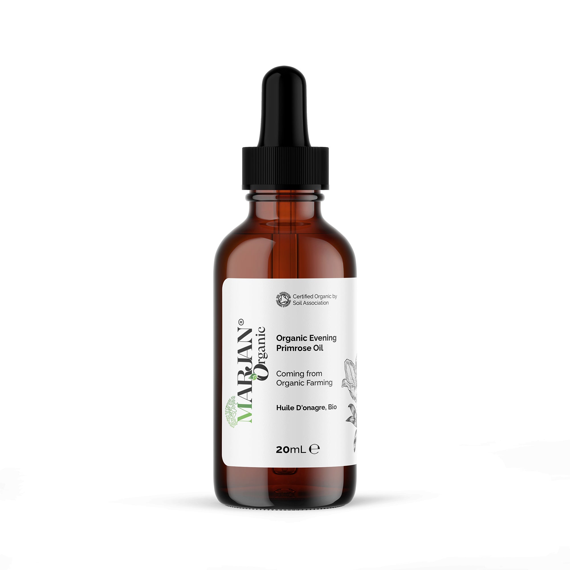 Evening Primrose Oil – Organic, Cold-Pressed
