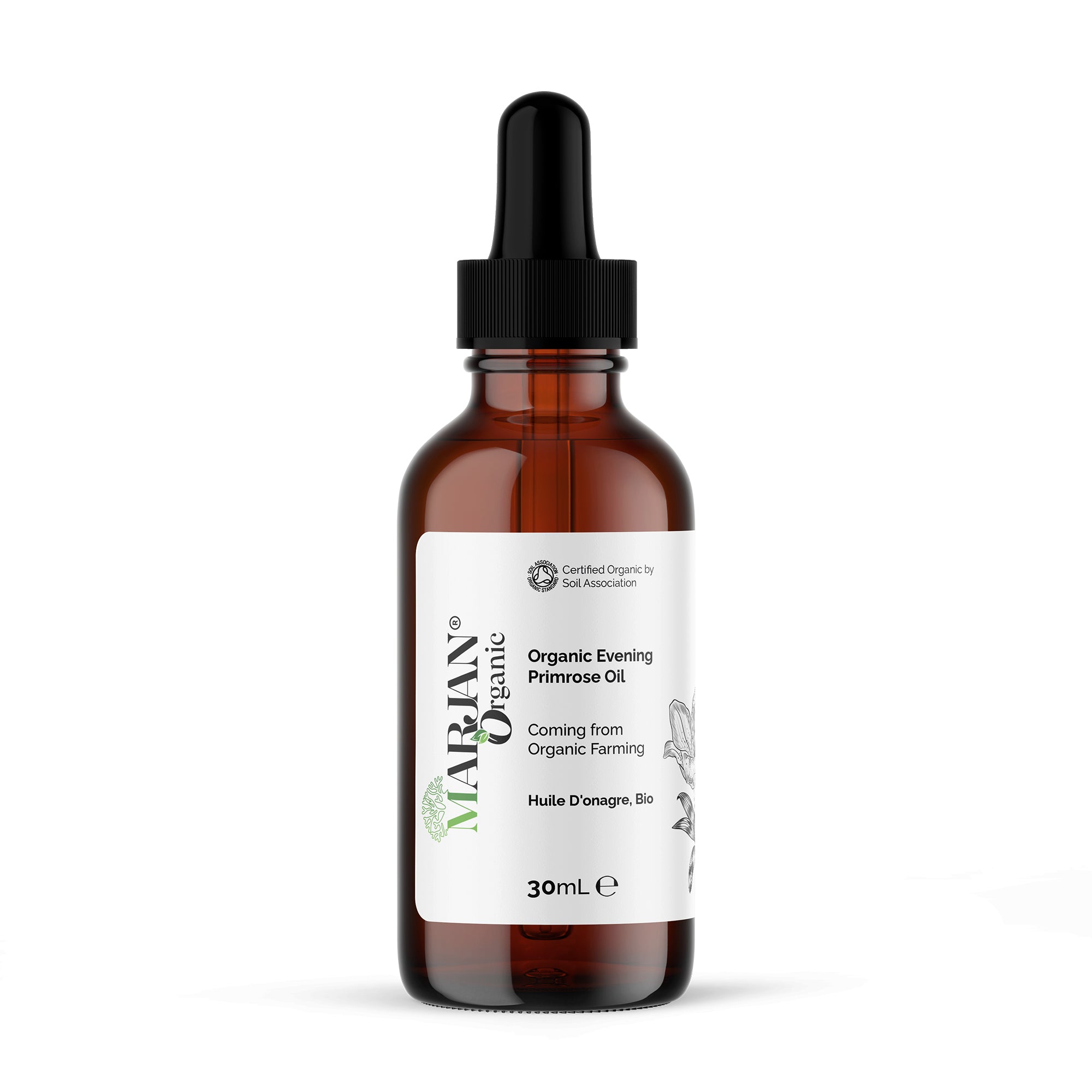 Evening Primrose Oil – Organic, Cold-Pressed