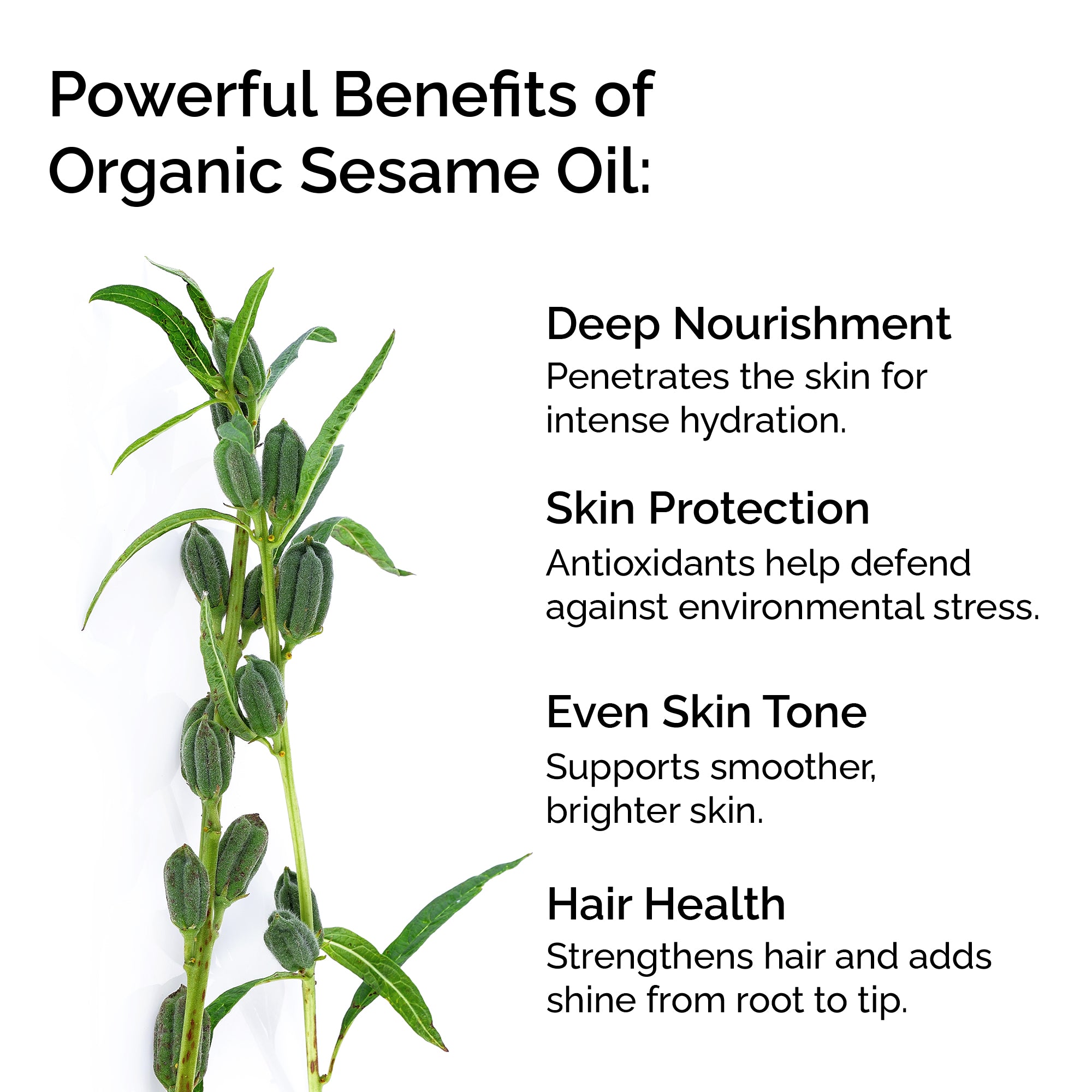 Organic Sesame Seed Oil – 100% Pure, Cold-Pressed for Face, Skin, Hair & Massage