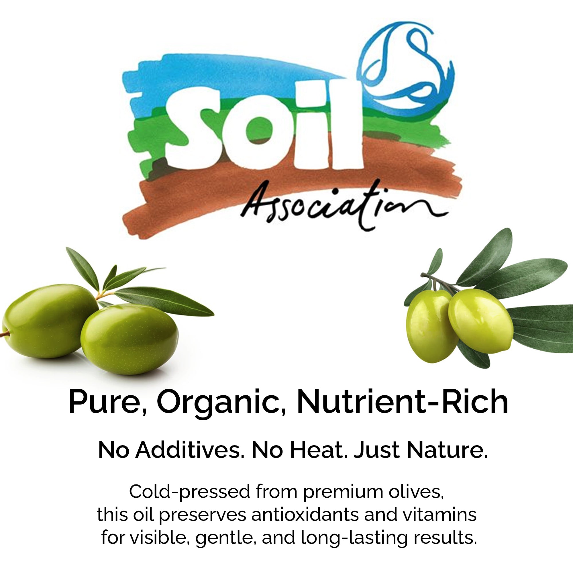 Organic Olive Oil – 100% Pure, Cold-Pressed for Skin & Hair Care