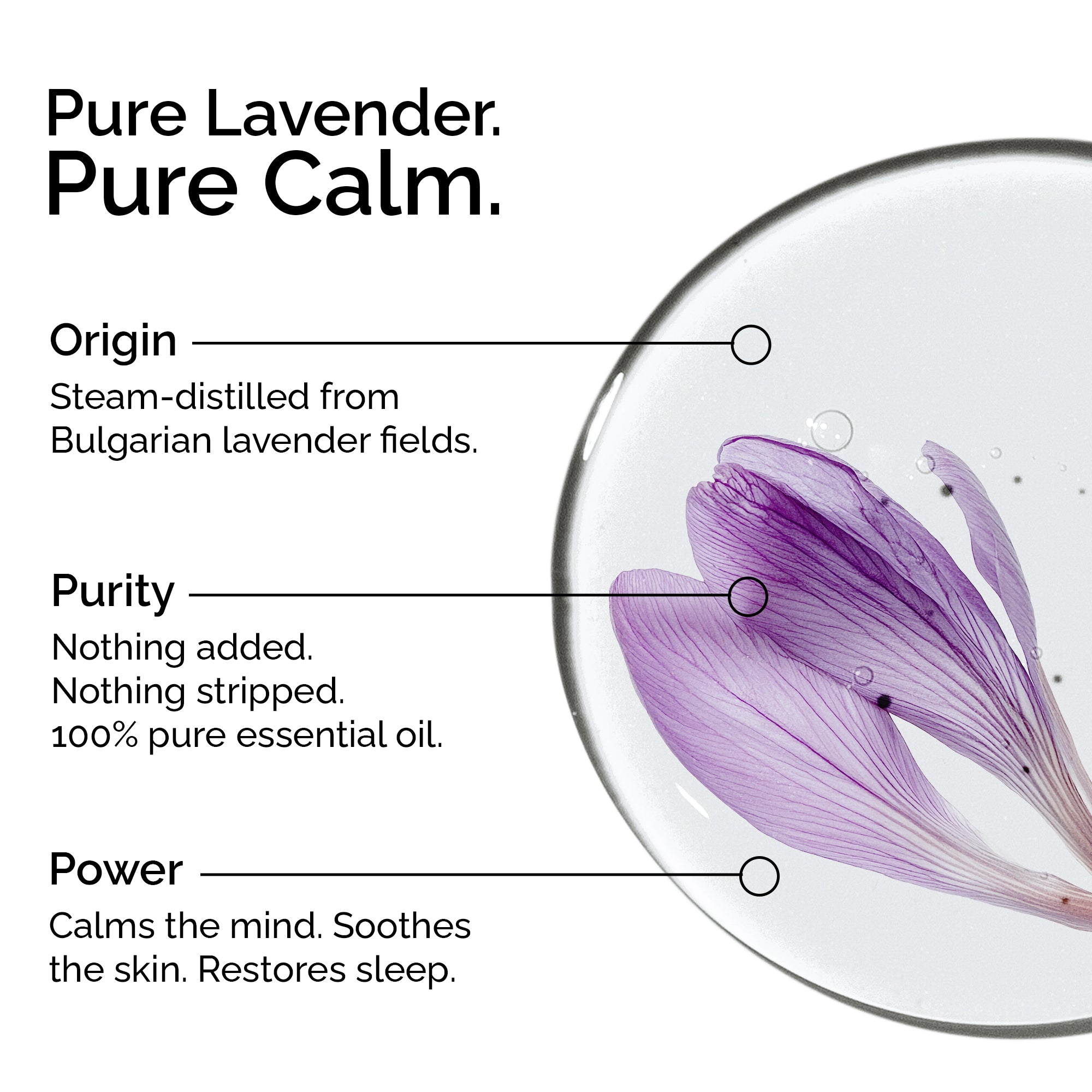 Organic Lavender Essential Oil | 100% Pure & Natural