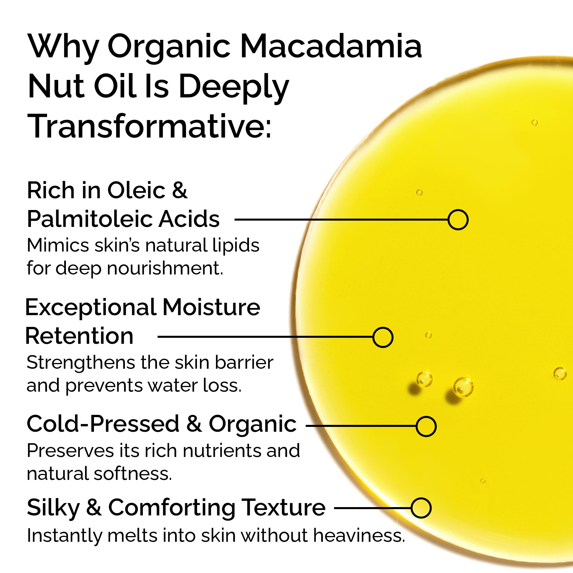 Organic Macadamia Oil – Pure & Cold-Pressed for Face, Body & Hair