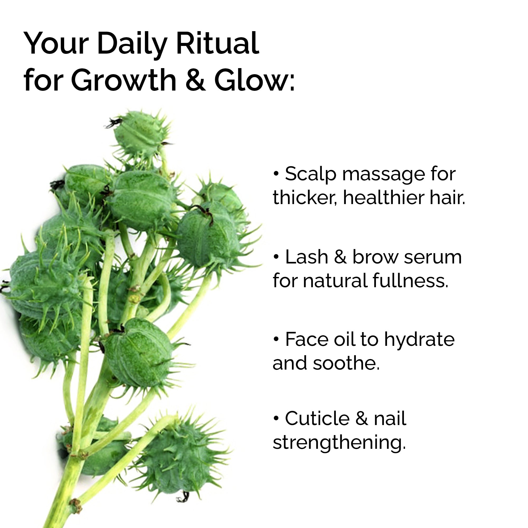 Organic Castor Oil – 100% Pure, Cold-Pressed for Hair, Skin & Lashes