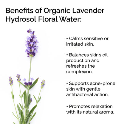 Eau Florale Hydrolat de Lavande Bio