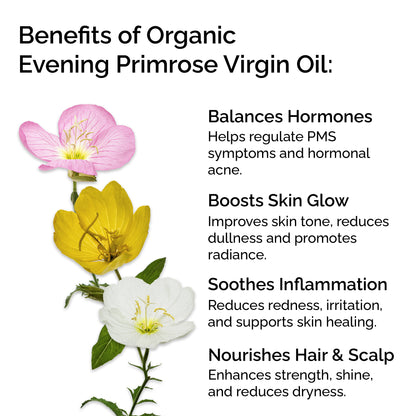 Evening Primrose Oil – Organic, Cold-Pressed