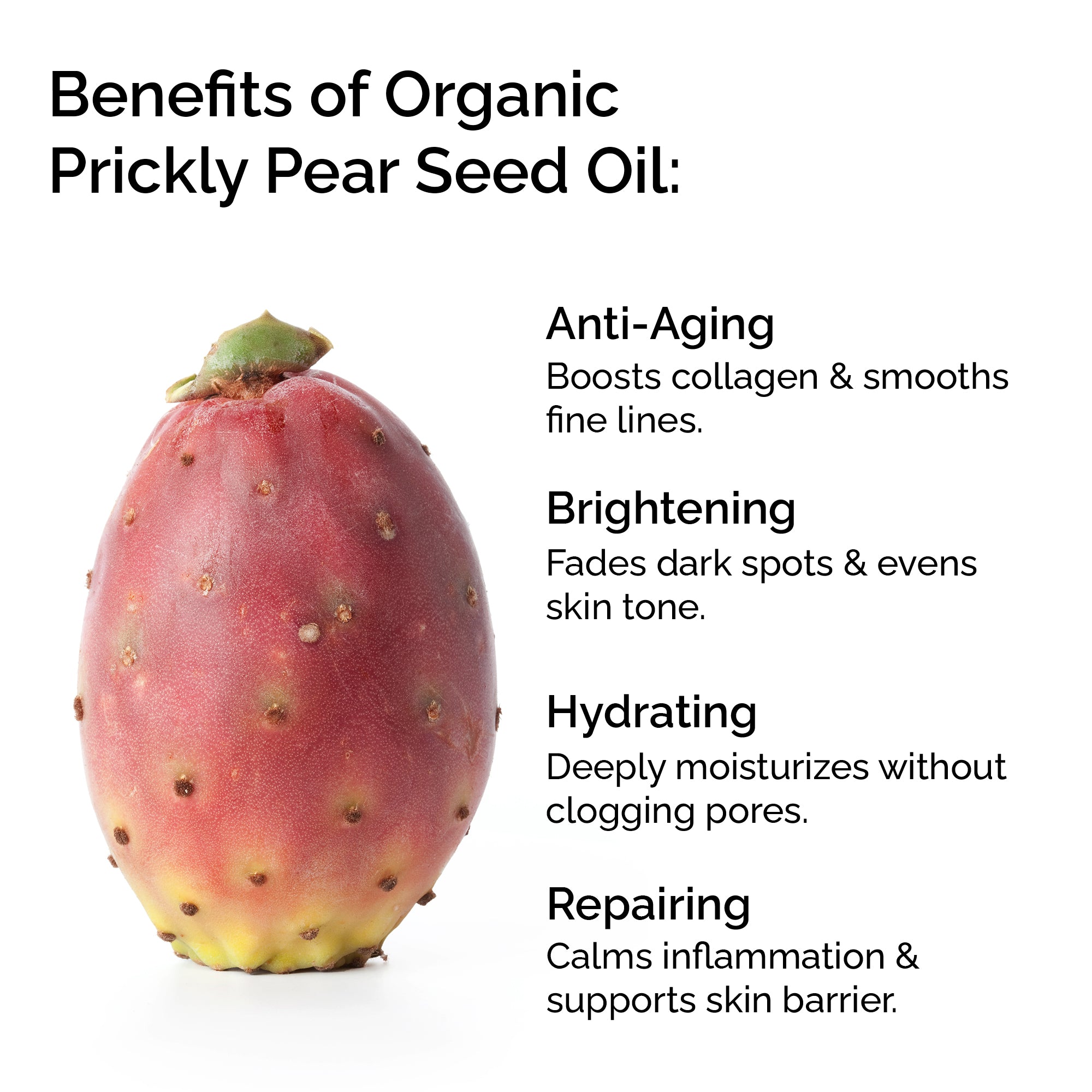 Organic Prickly Pear Seed Oil (Opuntia stricta) – 100% Pure Cold Pressed