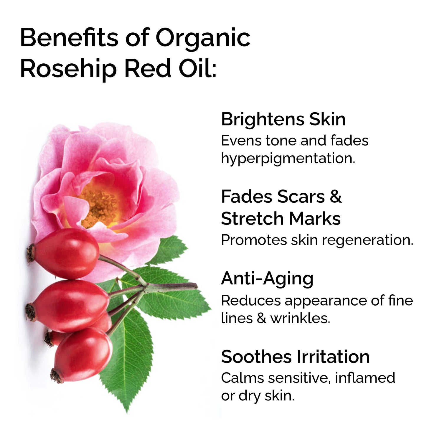 Huile de rose musquée bio – 100 % vierge, pressée à froid et certifiée par la Soil Association | Miracle éclaircissant et anti-âge