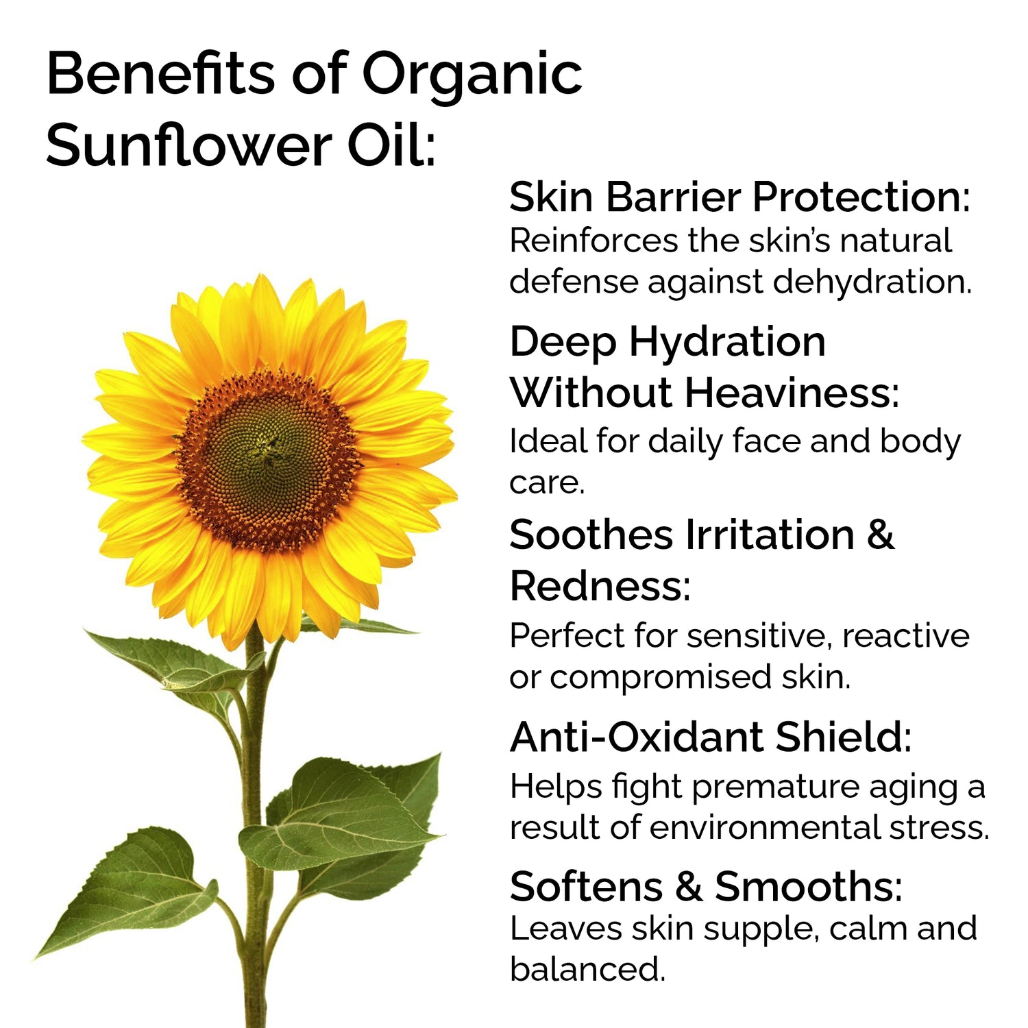 Organic Sunflower Oil 100% Pure &amp; Cold-Pressed for Face, Body, Hair &amp; Massage