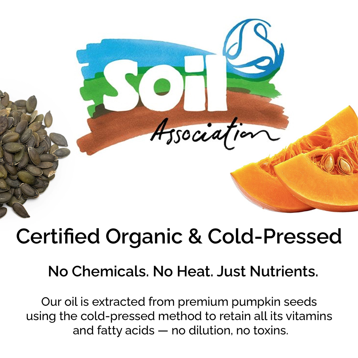 Organic Pumpkin Seed Oil 100% Pure Cold-Pressed for Face, Body &amp; Hair