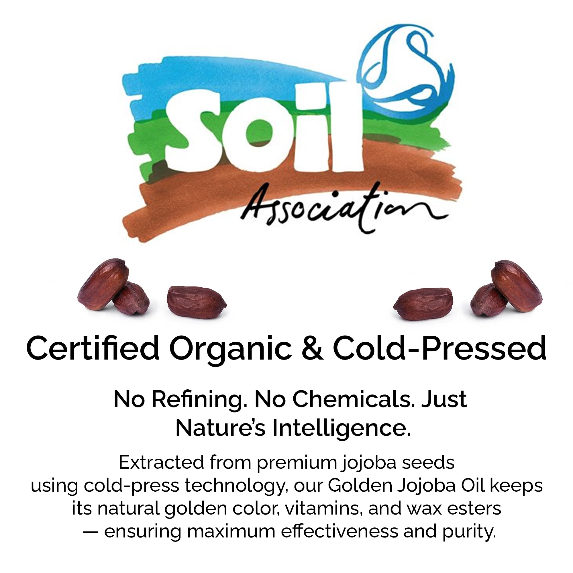 Organic Jojoba Oil – Cold Pressed 100% Pure Natural Oil for Face, Body, Hair &amp; Skin Care