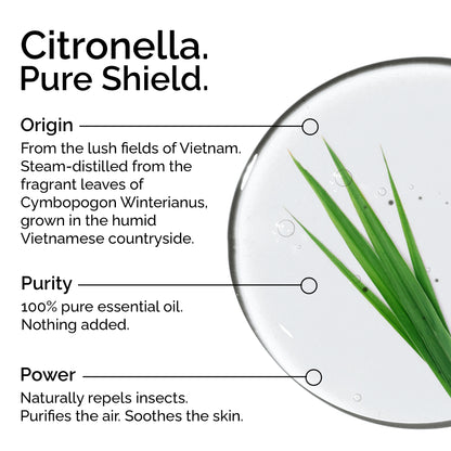 Organic Citronella Essential Oil – 100% Pure &amp; Natural, Undiluted | Cymbopogon winterianus