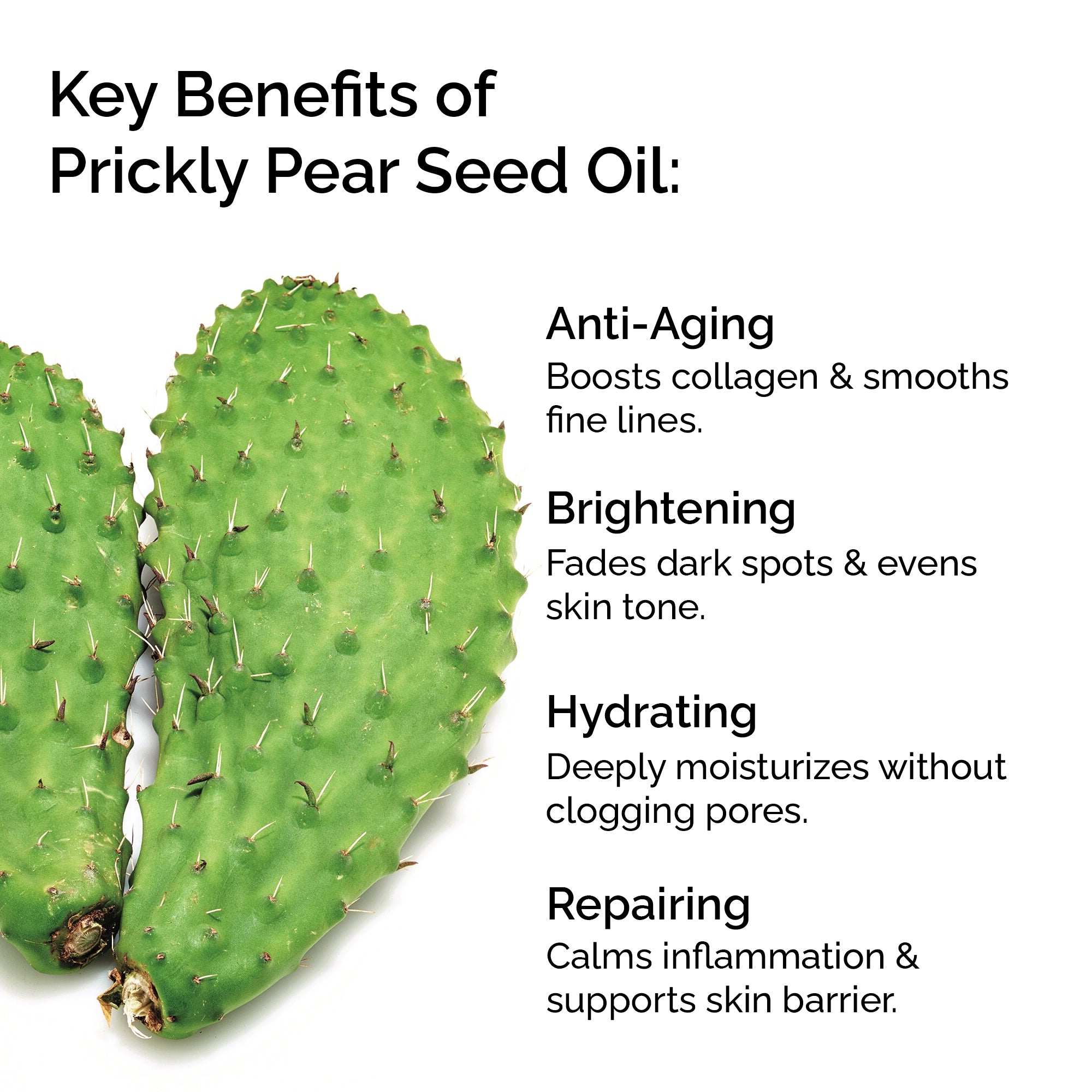 Prickly Pear (Cactus) Seed Oil — 100% Pure, Cold-Pressed for Face, Body, Hair &amp; Nails