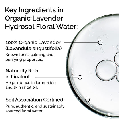 Eau Florale Hydrolat de Lavande Bio