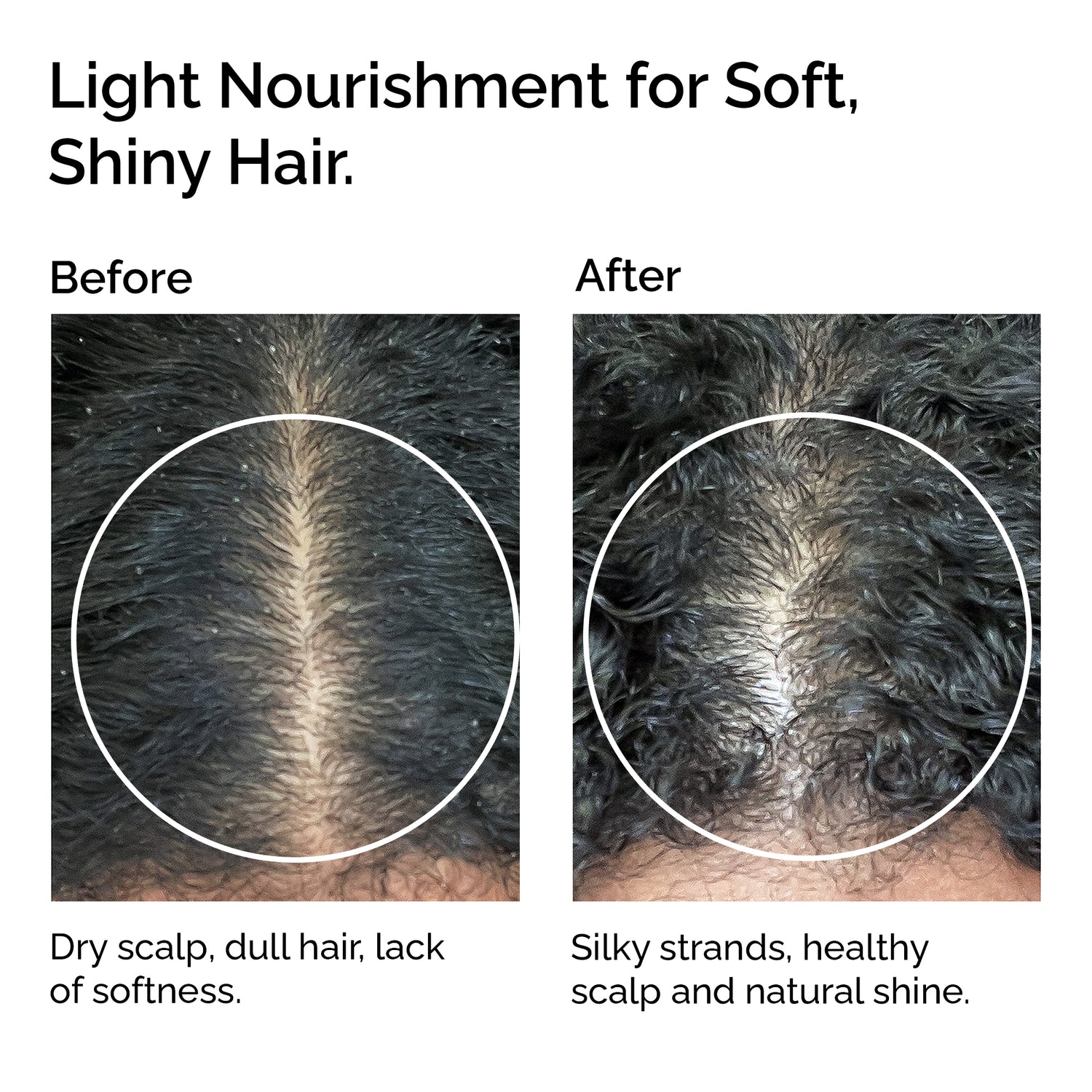 Organic Sunflower Oil 100% Pure &amp; Cold-Pressed for Face, Body, Hair &amp; Massage