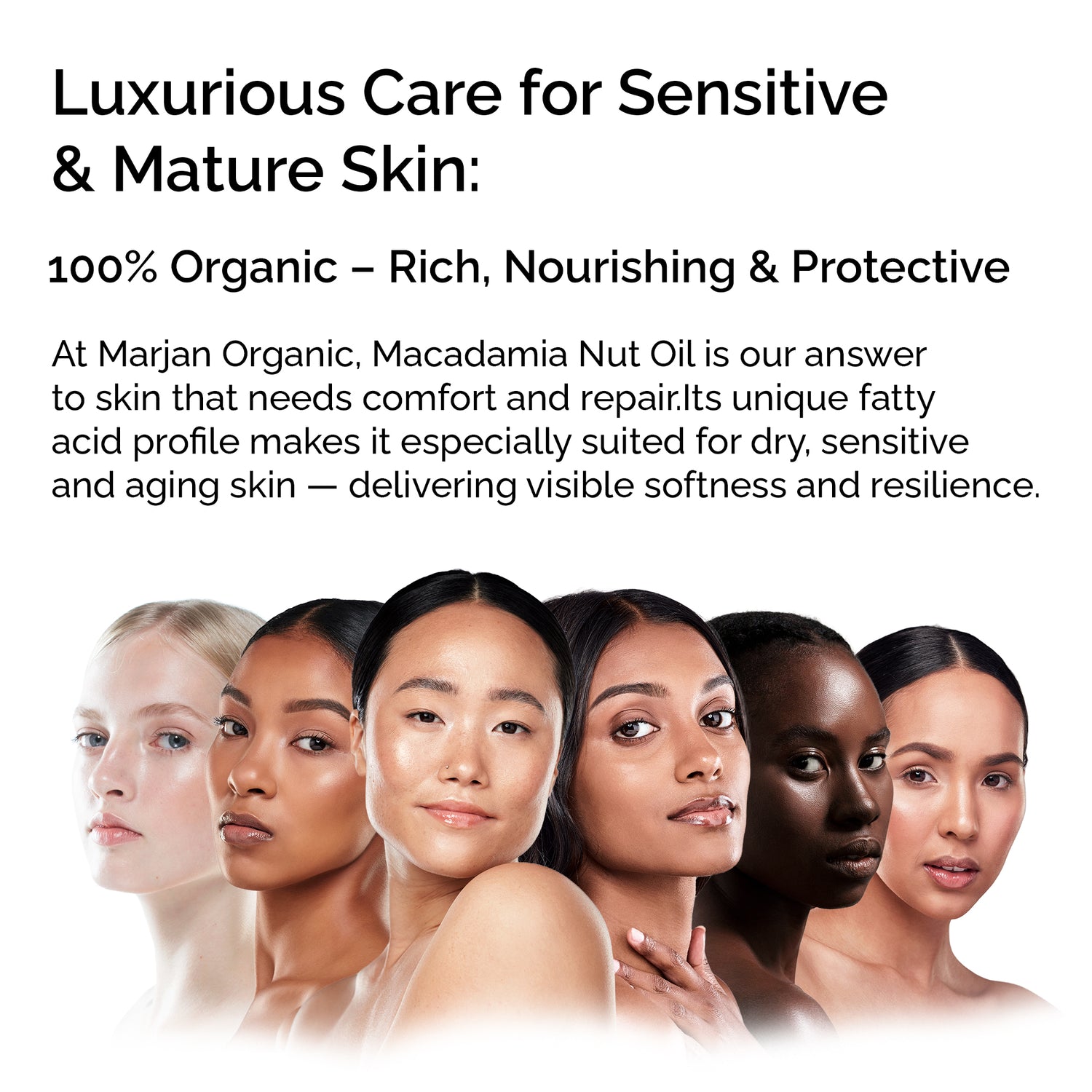 Organic Macadamia Oil – Pure &amp; Cold-Pressed for Face, Body &amp; Hair