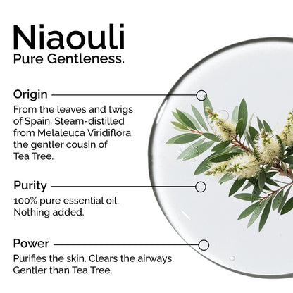 Organic Niaouli Essential Oil – 100% Pure &amp; Natural