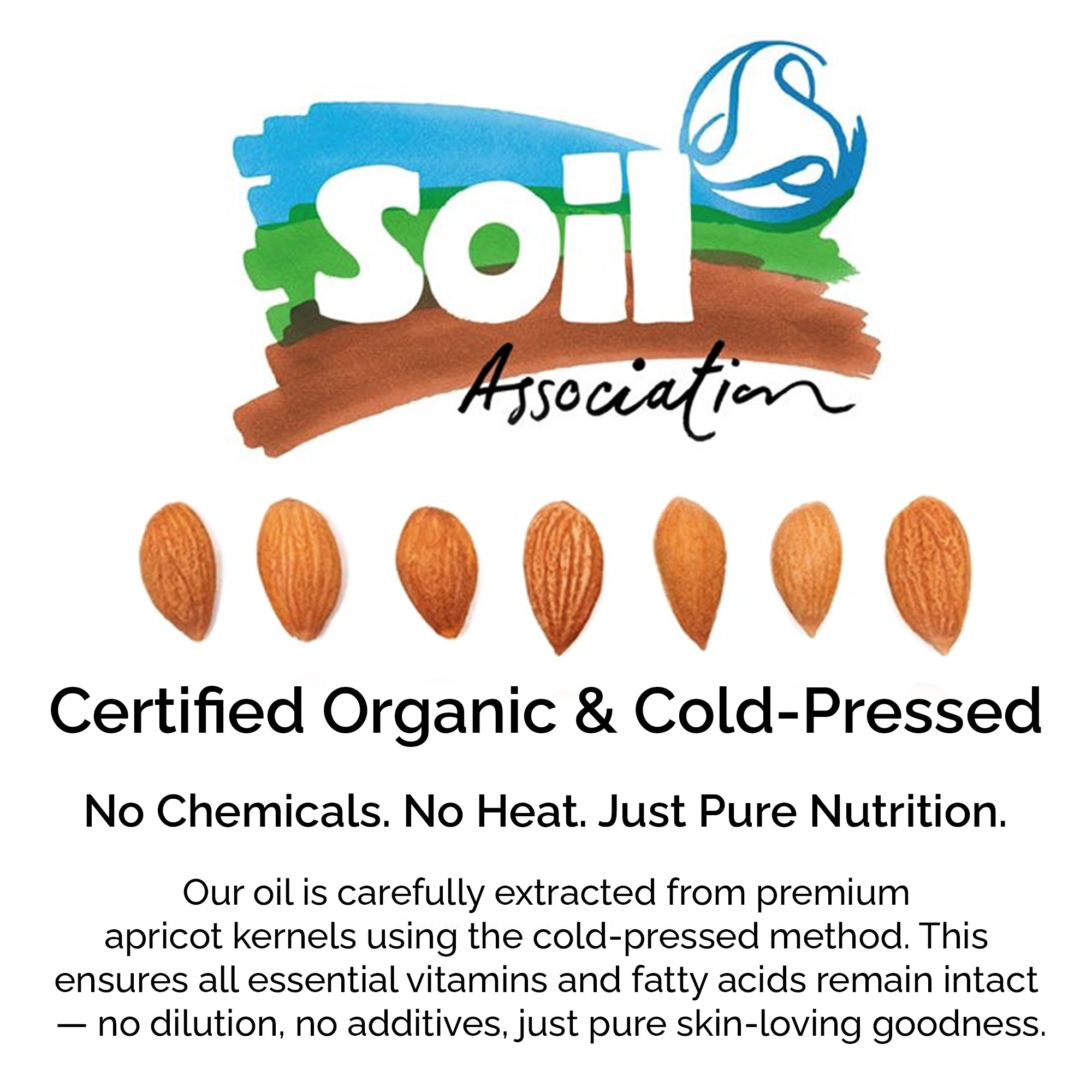 Organic Apricot Kernel Oil – 100% Pure &amp; Cold-Pressed for Face, Body &amp; Hair Care