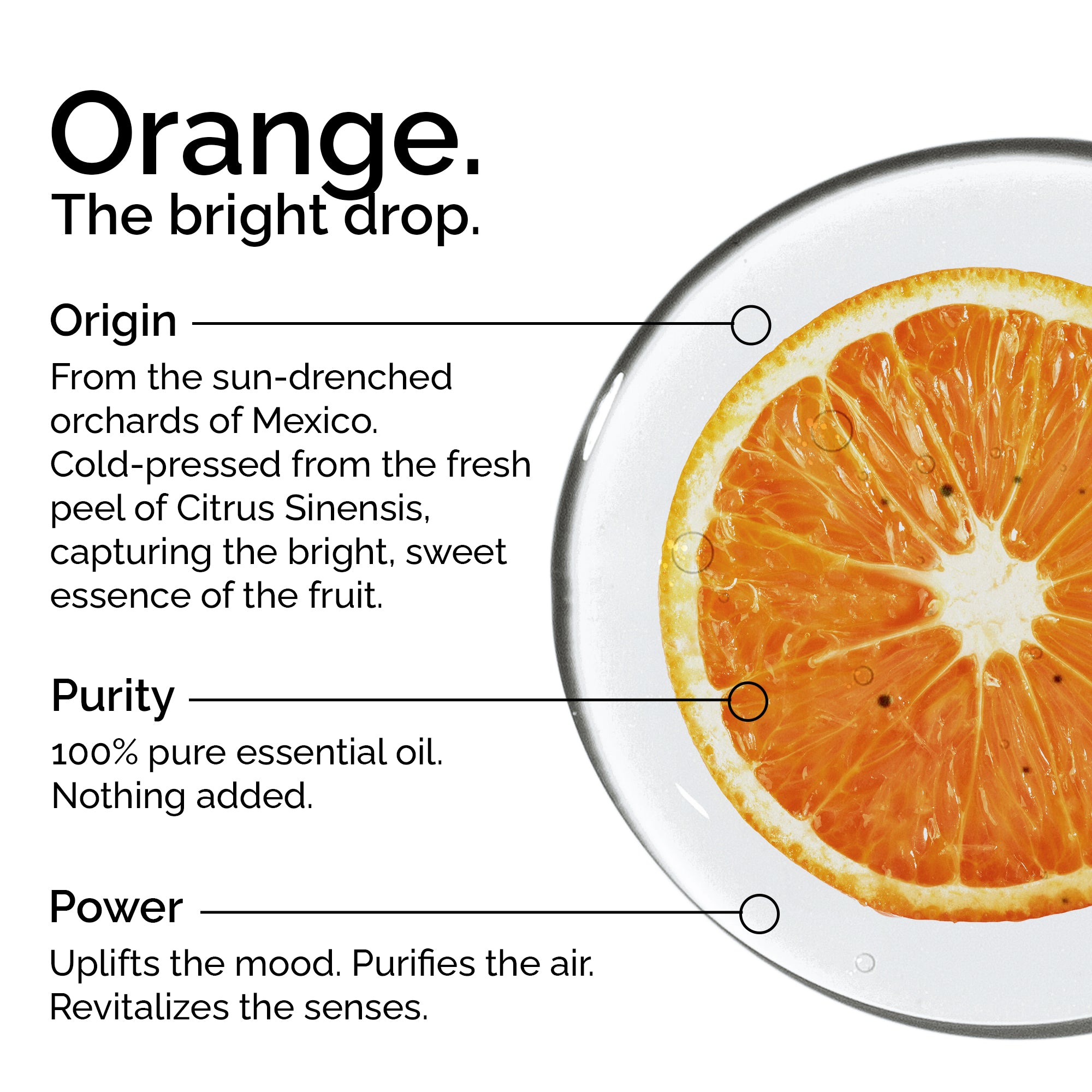 Organic Sweet Orange Essential Oil – 100% Pure &amp; Natural, Undiluted | Citrus sinensis
