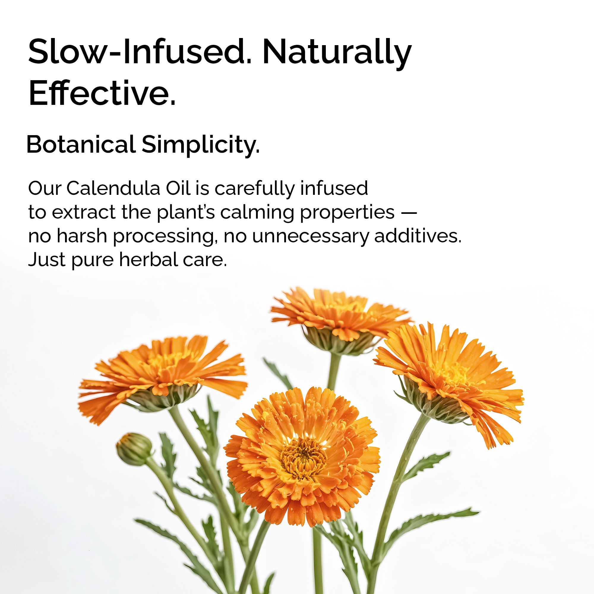 Calendula Infused Oil – Face, Body &amp; Baby Care for Sensitive Skin