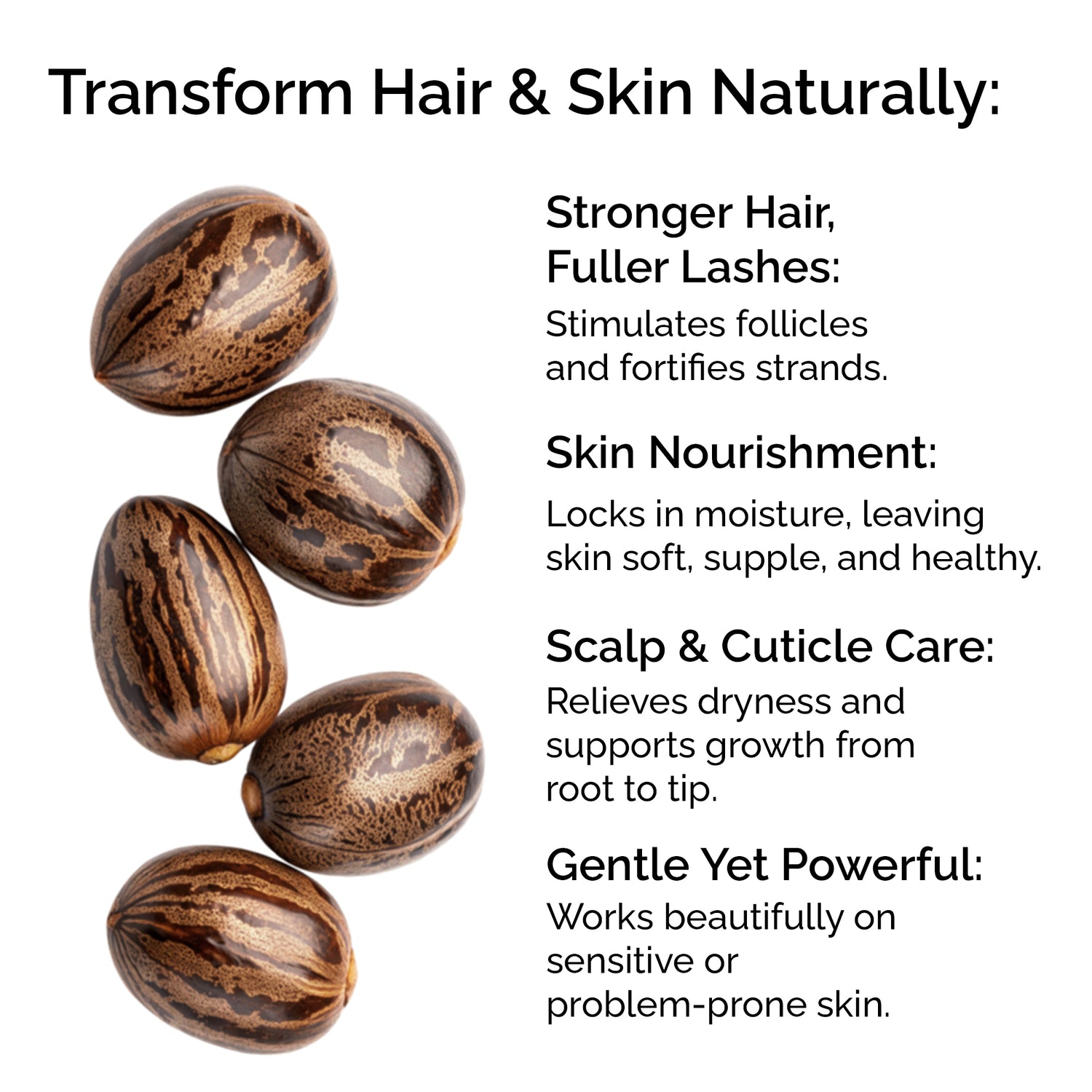 Organic Castor Oil – 100% Pure, Cold-Pressed for Hair, Skin &amp; Lashes