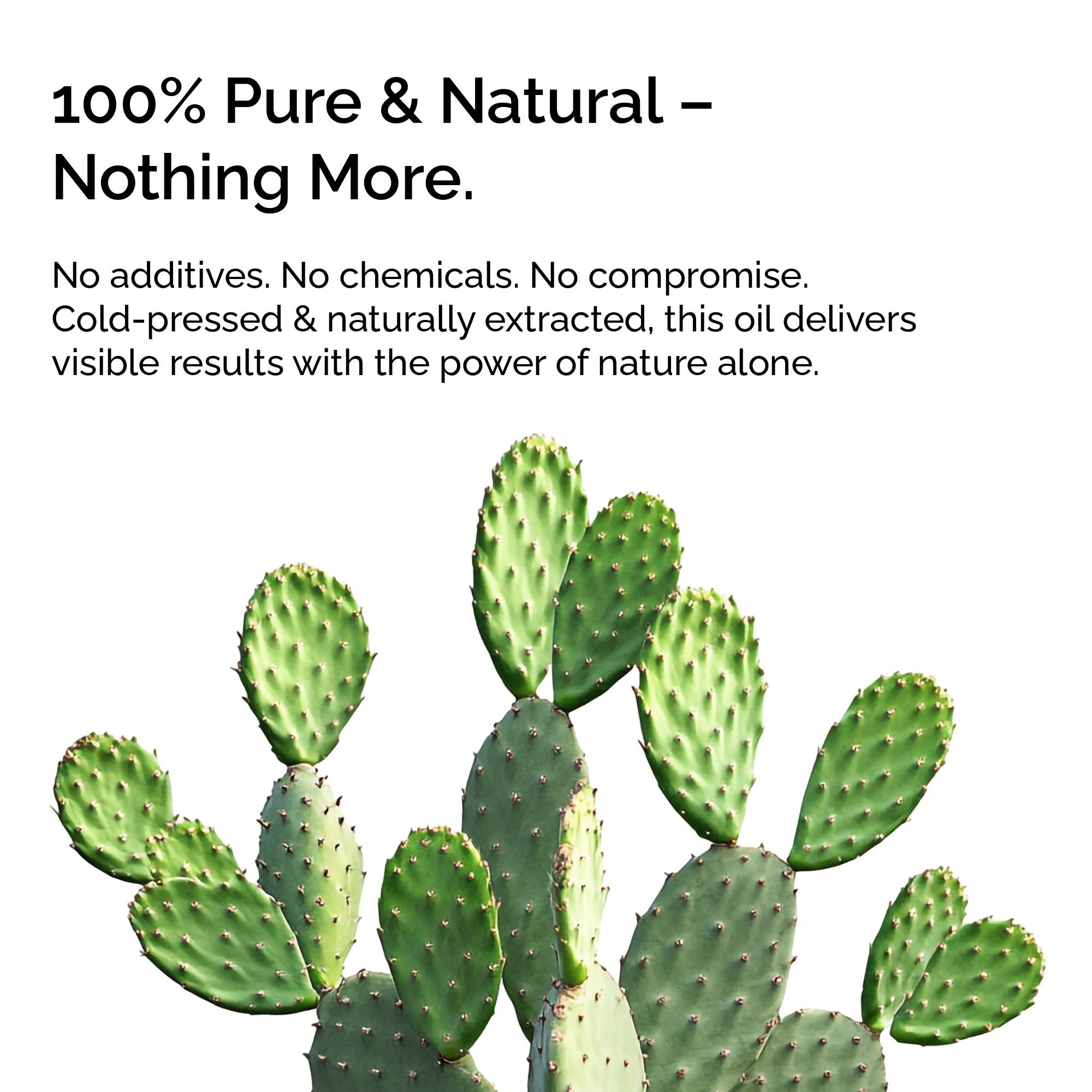 Prickly Pear (Cactus) Seed Oil — 100% Pure, Cold-Pressed for Face, Body, Hair &amp; Nails