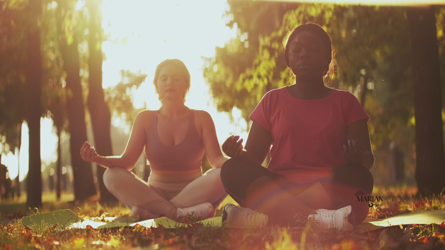 Méditation - Mélange d’Huiles Essentielles Bio 100% Pure Naturelle 